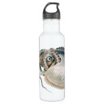 Vintage Octopus Argonaut, Marine Life Animals Stainless Steel Water Bottle