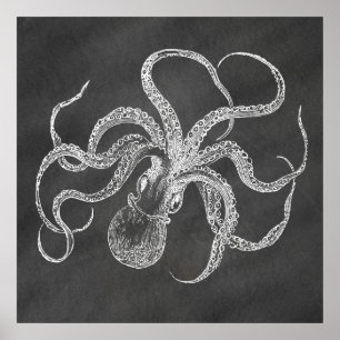 Vintage Octopus Chalkboard Background Template Poster