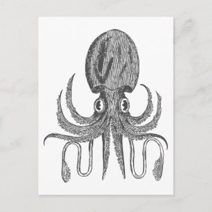 Vintage Octopus Drawing in Black and White Postcard