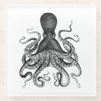 [ Vintage Octopus ] Glass Coaster by WaywardMuse at Zazzle