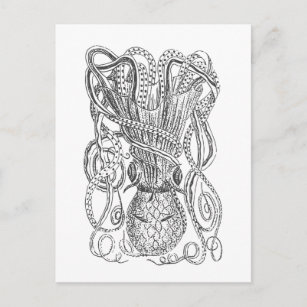 Vintage Octopus Illustration in Black and White  Postcard