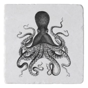 Vintage { Octopus } Illustration Trivet by WaywardMuse at Zazzle