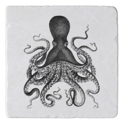 Vintage  Octopus  Illustration Trivet