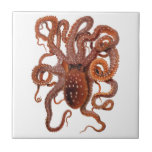 Vintage Octopus Macropus, Marine Aquatic Animals Ceramic Tile