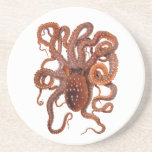Vintage Octopus Macropus, Marine Aquatic Animals Coaster