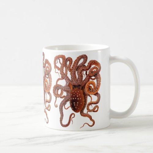 Vintage Octopus Macropus Marine Aquatic Animals Coffee Mug