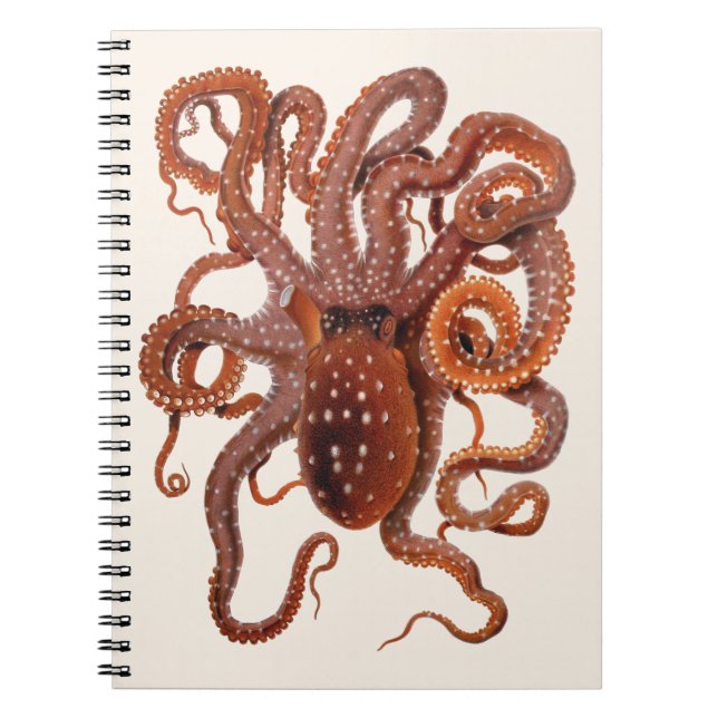 Vintage Octopus Macropus, Marine Aquatic Animals Notebook (Front)