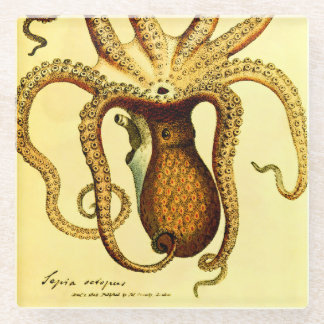 Vintage Octopus No. 46 | Archival Glass Coaster