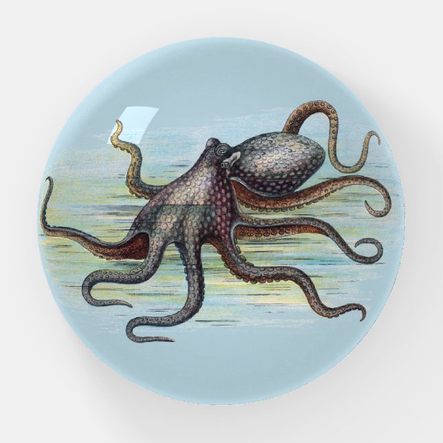 Vintage Octopus Paperweight (Front)