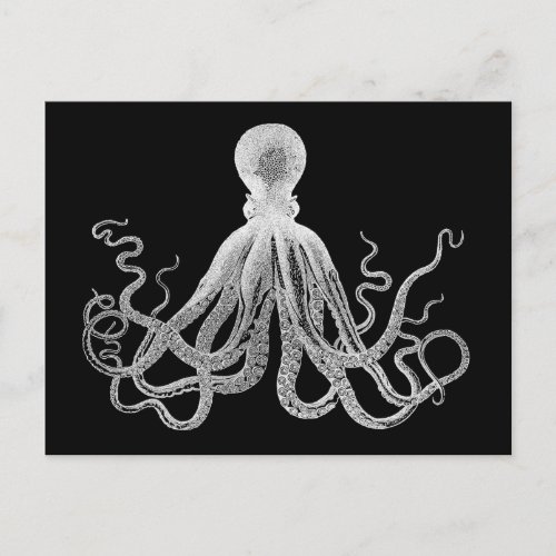 Vintage Octopus Postcard