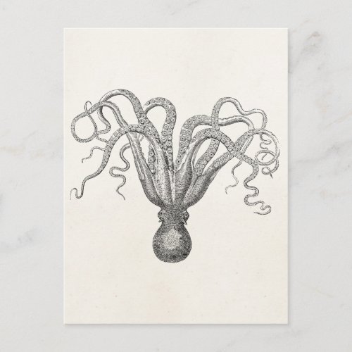 Vintage Octopus Poulpe Eight Armed Cuttle Fish Postcard