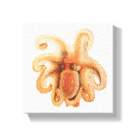 Vintage Octopus Salutii, Marine Aquatic Animals Canvas Print
