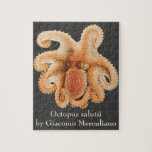 Vintage Octopus Salutii, Marine Aquatic Animals Jigsaw Puzzle