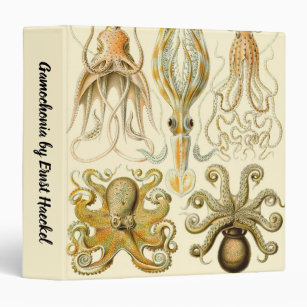 Simpatico Porta Stuzzicadenti Squid Design Ornamento Decoro Organizzatore  di