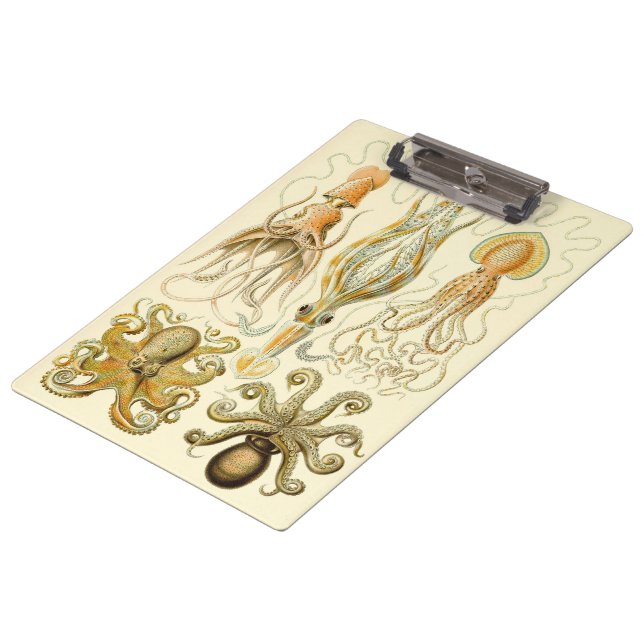 Vintage Octopus Squid Gamochonia by Ernst Haeckel Clipboard (Angled)
