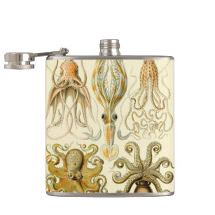Vintage Octopus Squid Gamochonia by Ernst Haeckel Hip Flask