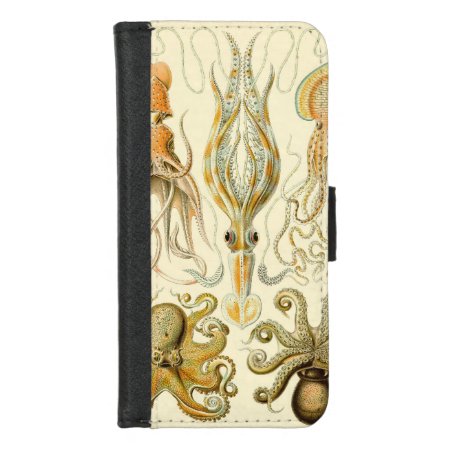 Vintage Octopus Squid Gamochonia By Ernst Haeckel Iphone 8/7 Wallet Ca