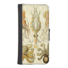 Vintage Octopus Squid Gamochonia by Ernst Haeckel