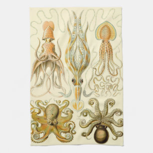 Vintage Octopus Squid Gamochonia by Ernst Haeckel Kitchen Towel