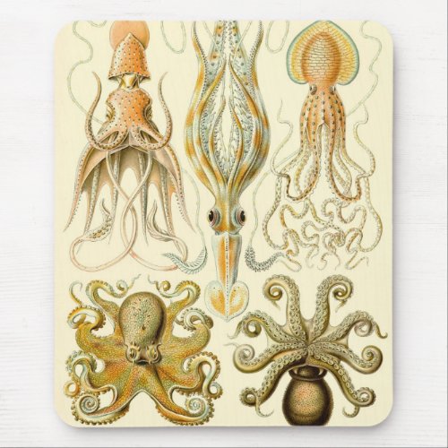 Vintage Octopus Squid Gamochonia by Ernst Haeckel Mouse Pad