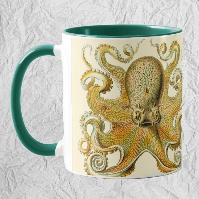 Vintage Octopus Squid Gamochonia by Ernst Haeckel Mug (Creator Uploaded)