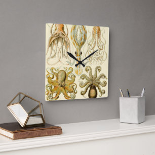 Vintage Octopus Squid Gamochonia by Ernst Haeckel Square Wall Clock