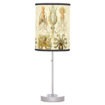 Vintage Octopus Squid Gamochonia By Ernst Haeckel Table Lamp at Zazzle