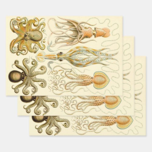Vintage Octopus Squid Gamochonia by Ernst Haeckel Wrapping Paper Sheets