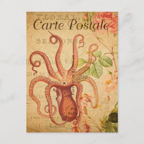 Vintage Octopus Squid Marine Life Animal French Postcard