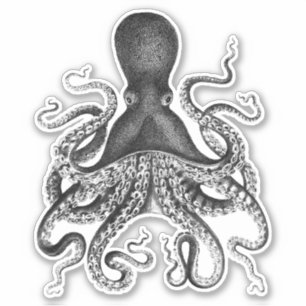 Vintage Octopus Sticker