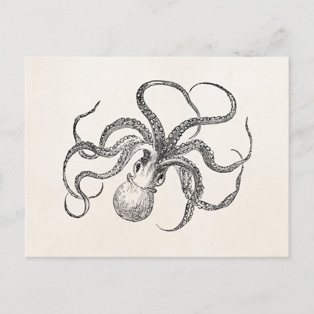Vintage Octopus Template on Antique Paper Postcard (Front)