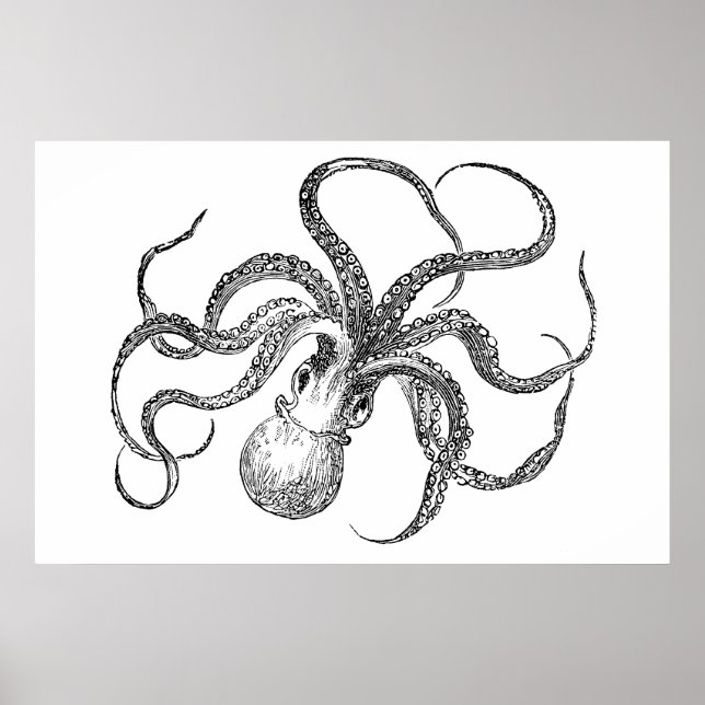 Vintage Octopus Template Poster (Front)