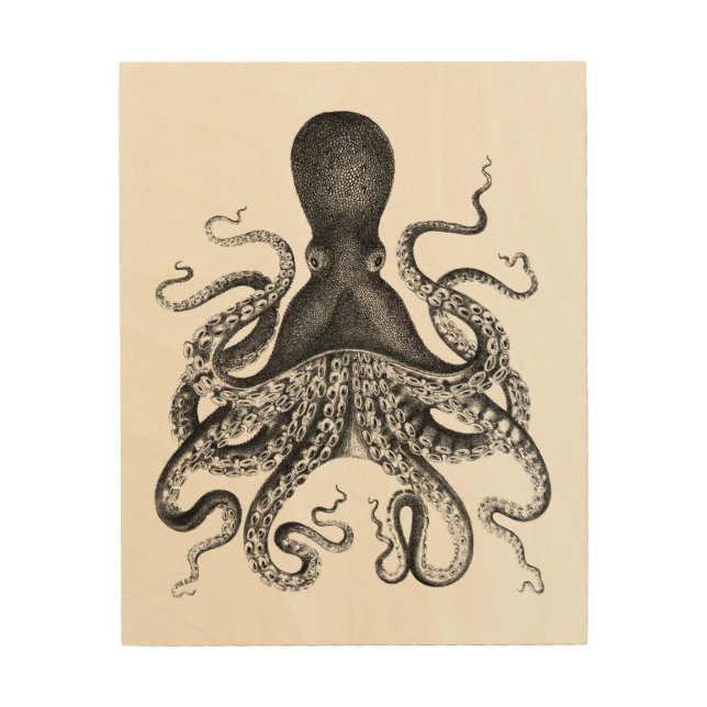 Vintage Octopus Wood Canvas (Front)