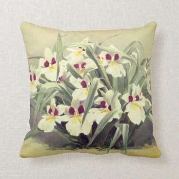 Vintage odontoglossum orchid throw pillow Vintage odontoglossum orchid throw pillow