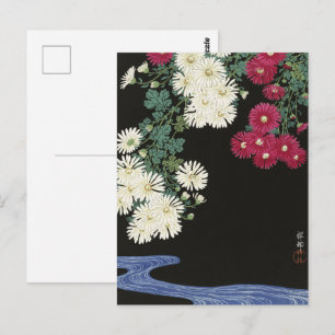 Vintage Ohara Koson Chrysanthemum Art Postcard