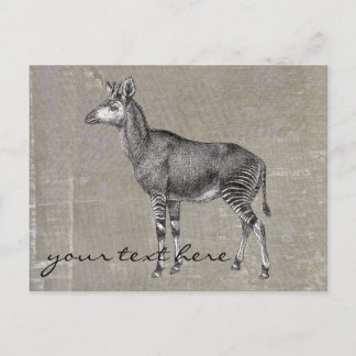Vintage Okapi Postcard