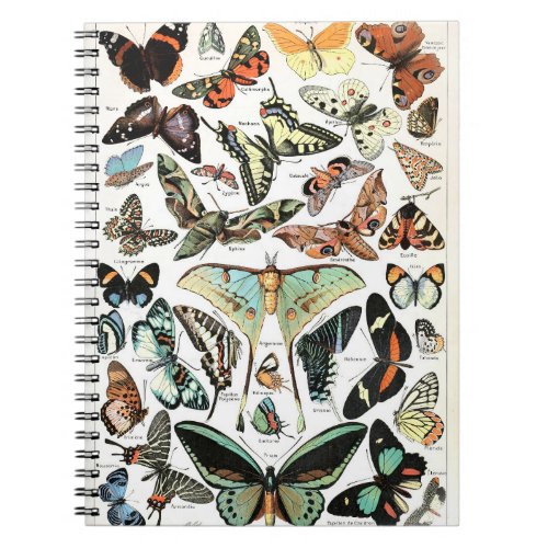 Vintage old butterflies Poster Notebook