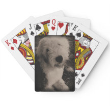 Vintage Old English Sheepdog