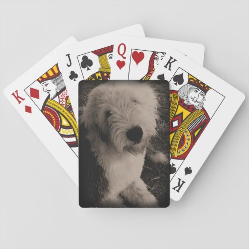 Vintage Old English Sheepdog Poker Cards