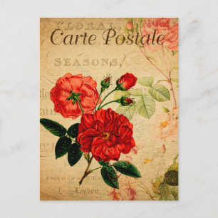 Vintage Old Fashioned Red Roses Floral French Postcard