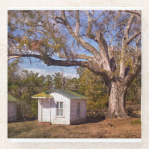 Vintage Old Florida Rustic Motel Cabins Roadside