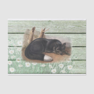 Vintage old green wood texture American Fox Tissue Paper