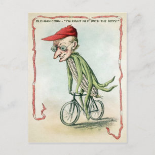 Vintage Old Man Corn Postcard