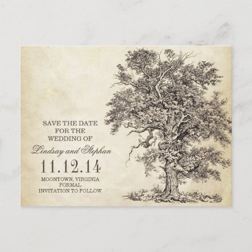 vintage old oak tree save the date postcards