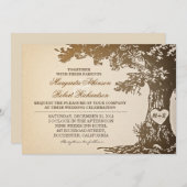 vintage old oak tree wedding invitations (Front/Back)