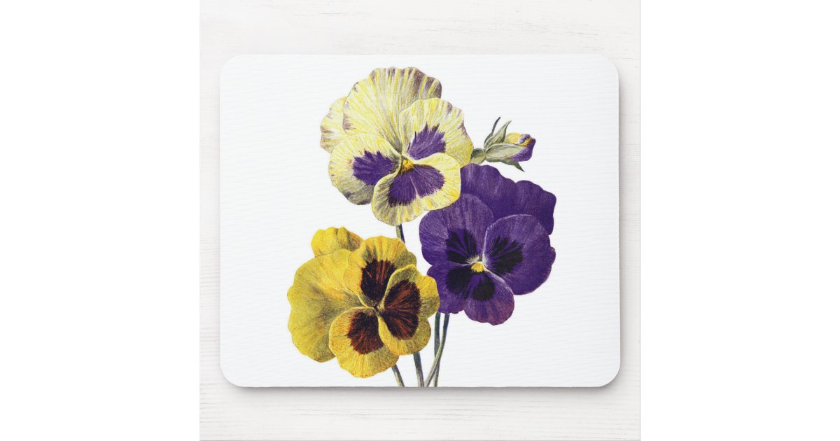 Vintage Old Painting Purple Yellow Pansies Flowers Mouse Pad Zazzle Com