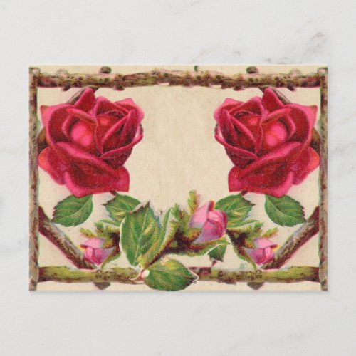 Vintage Old Rose Rustic Victorian Elegant Classic Postcard