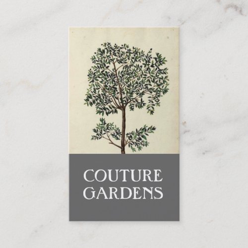 Vintage Olive Tree Gardener Business Card