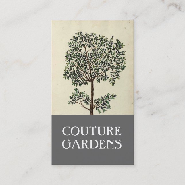 Vintage Olive Tree Gardener Business Card (Front)