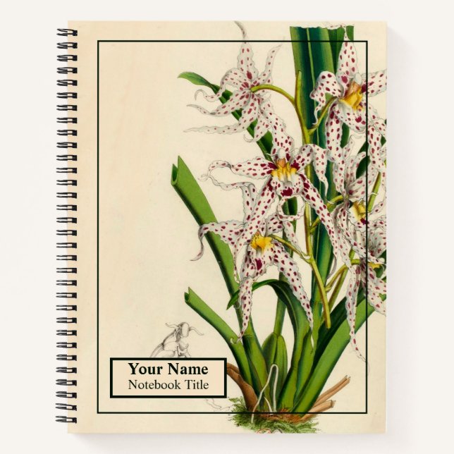 Vintage Oncidium Naevium Orchid Notebook (Front)